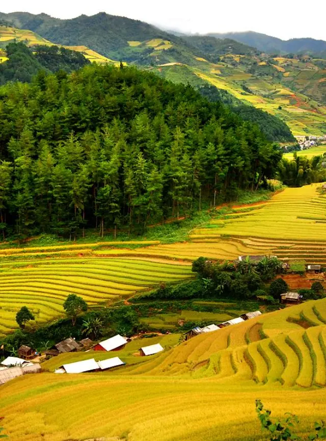 11d10n– Viagem pelo norte e centro do Vietnam