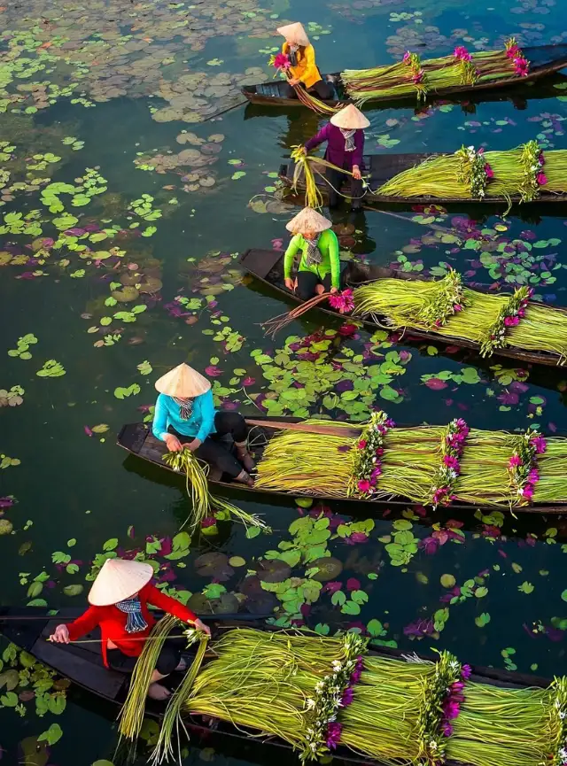 8d – Vietnam: Breve toque em 8 dias