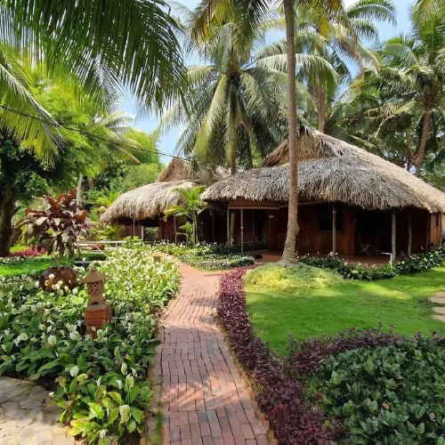 https://avexvietnamtravel.asia/wp-content/uploads/2026/05/Coco-Riverside-Lodge.webp