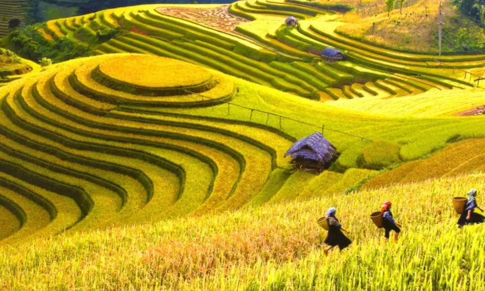 Paisagens autênticas de Mai Chau