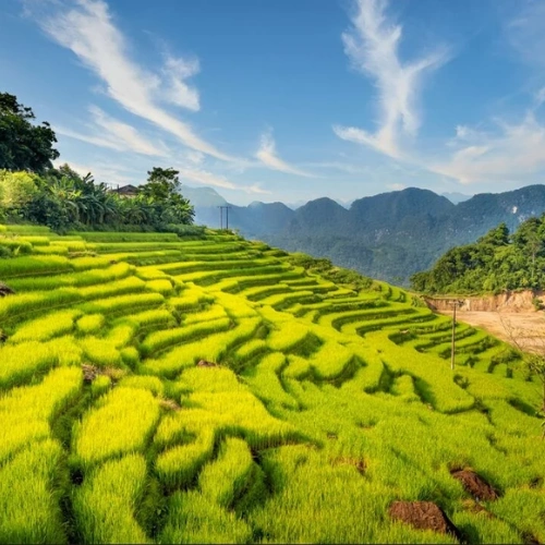 Mai Chau – Pu Luong 