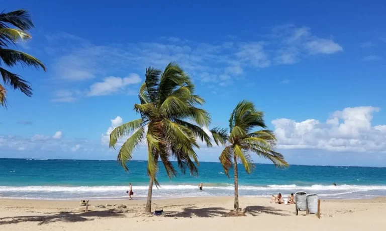 Co To – A Ilha Verde