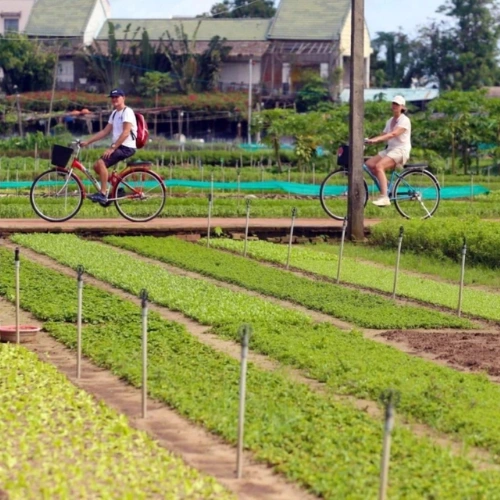 Hoi An – Aula de Culinária - City Tour 